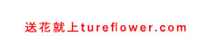 送花就上www.tureflower.com